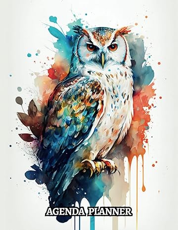 watercolor owl agenda planner 1 year 52 week hourly breakdown appointment calendar with 15 minute intervals
