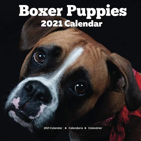 2021 boxer puppies calendar dog lover gifts men women 1st edition shimmer hicks b08l9dbpy7, 979-8697909157