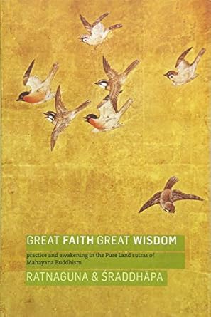 great faith great wisdom practice and awakening in the pure land sutras of mahayana buddhism 1st edition