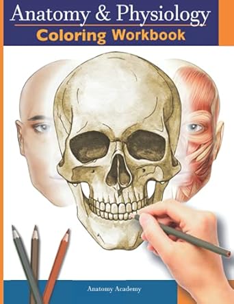 anatomy and physiology coloring workbook the essential college level study guide perfect gift for medical