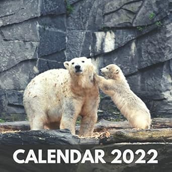 calendar 2022 bears a small square 12 monthly calendar from january to december 2022 contains pictures of the