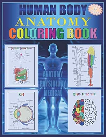 human body anatomy coloring book anatomy and physiology illustration coloring book for kids and teens great