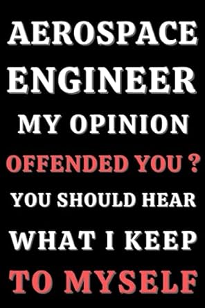 aerospace engineer my opinion offended you you should hear what i keep to myself 6 x 9 blank lined notebook