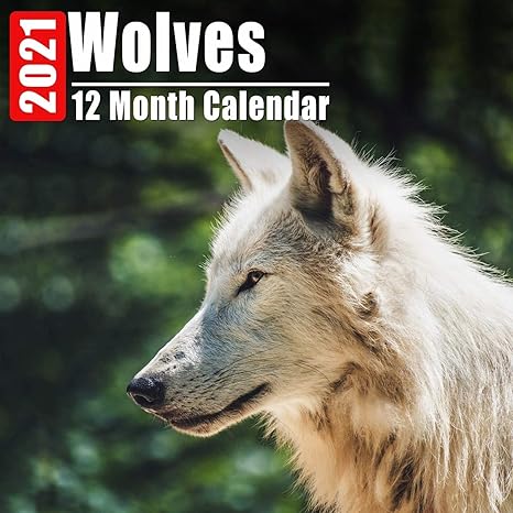 calendar 2021 wolves cute wolf photos monthly mini calendar with inspirational quotes each month 1st edition