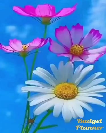 budget planner finance planner with expense ledger and bill planner 1st edition jessica king 979-8431281839