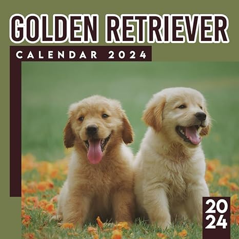 golden retriever puppies calendar 2024 2025 pets calendar 12 month 2024 monthly/weekly bonus 6 months 2025