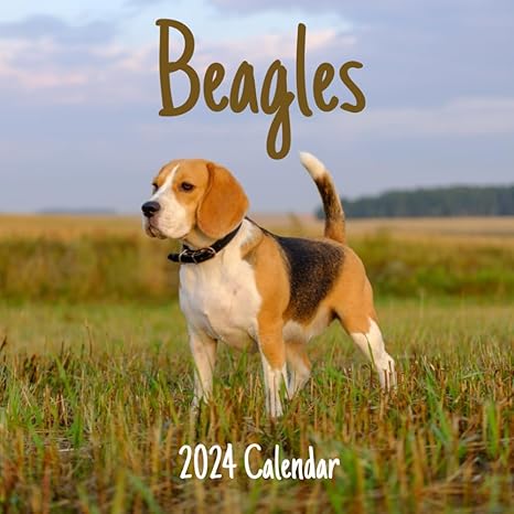 beagles 2024 calendar 1st edition anas edtion b0cp9jq9s5