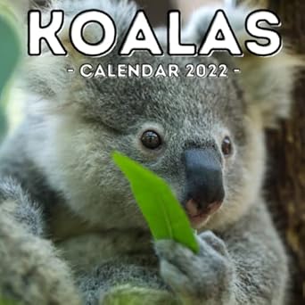 koalas calendar 2022 16 month calendar cute gift idea for koala lovers girls and men 1st edition embarrassed