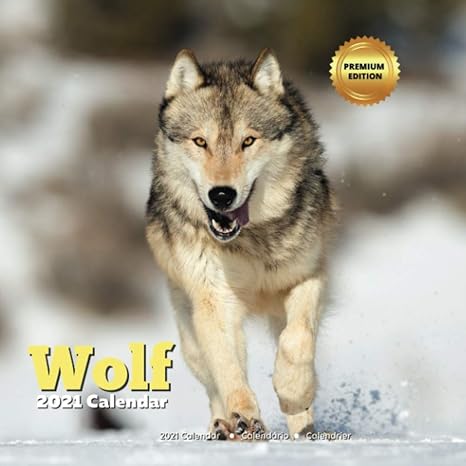 wolf calendar 2021 men women wolf lover gifts 1st edition almon dolhe b08lnbh58f, 979-8699620470