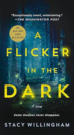 a flicker in the dark a novel 1st edition stacy willingham 1250896444, 978-1250896445