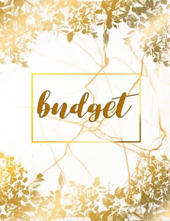 budget planner budget workbook 12 month financial planning journal monthly expense tracker organizer bill