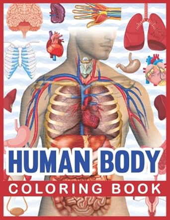 human body coloring book human body human anatomy coloring book for kids human body anatomy coloring book for