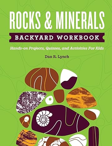 rocks and minerals backyard workbook hands on projects quizzes and activities for kids workbook edition dan r