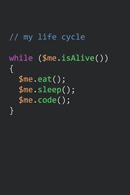 while eat sleep code repeat with javascript code of life loop funny gift for software engineers web
