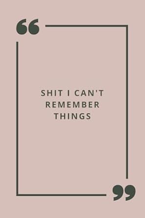 funny sarcastic and witty work notebook for the office shit i cant remember things funny sarcastic and witty