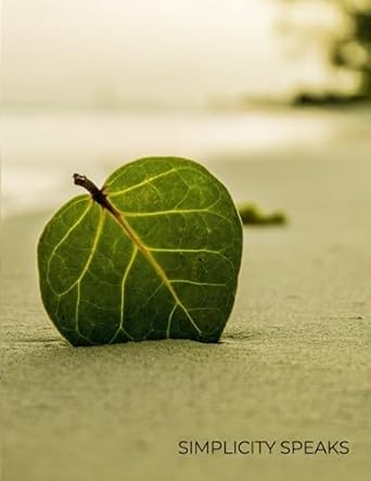 simplicity speaks daily planner for daily routine office work productivity for any age 1st edition ibrahim