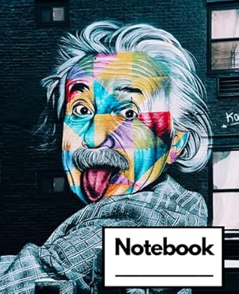 einstein notebook cool graffiti einstein notebook/journal/log/diary 110 pages for school work 1st edition