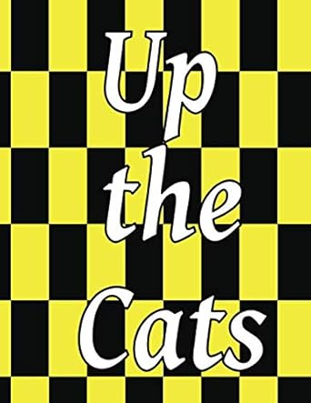 county kilkenny gaa irish themed fun notebook up the cats 1st edition irish eyes publishin 979-8655026469