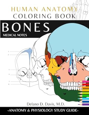 human anatomy coloring book bones medical notes detailed illustrations learn the skeletal system anatomy and