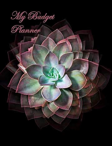 monthly budget planner monthly budget book monthly finance income and expense organizer simple budgeting