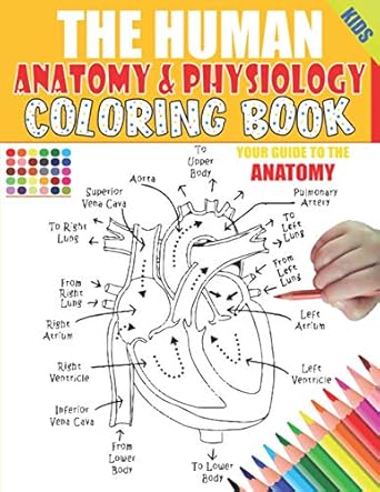 the human anatomy and physiology coloring book 50+ illustrations in an activity coloring book for kids and