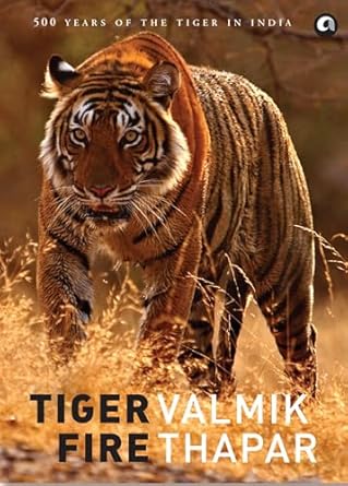 tiger fire 500 years of tigers in india 1st edition valmik thapar 9384067245, 978-9384067243