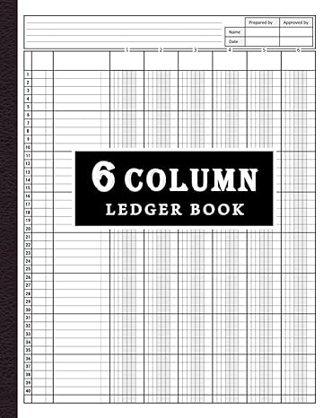 6 column ledger book 1st edition pandareader press sa b0c87fff8v