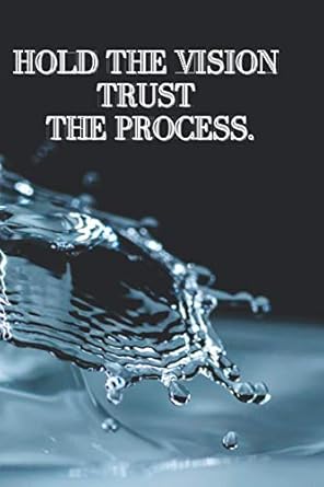 hold the vision trust the process motivational notebook journal diary 1st edition art of writing