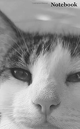 notebook cute cat notebook and journal for cat lovers college ruled 5 x8 with 150 pages 1st edition golden