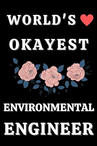 world s okayest environmental engineer 6 x 9 blank lined notebook 1st edition rayane ste makh b0cfcvjgxf