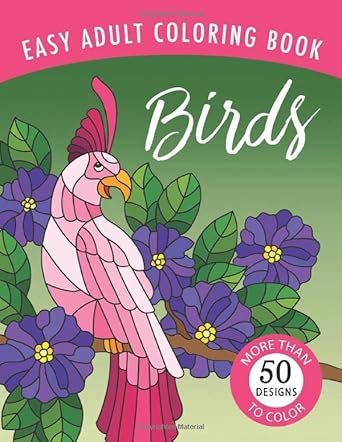 birds an easy large print adult coloring book activity for alzheimer s patients and seniors with dementia 1st