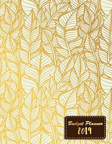 budget planner 2019 2019 calendar expense tracker organizer 12 month and organizer with holiday personal