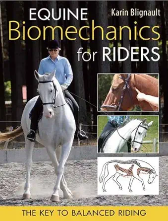 equine biomechanics for riding the key to balanced riding 1st edition karin blignault ,maggie raynor