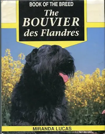 the bouvier des flandres 1st edition miranda lucas 0876050585, 978-0876050583
