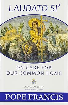 laudato si on care for our common home 1st edition pope francis ,catholic church 1612783864, 978-1612783864