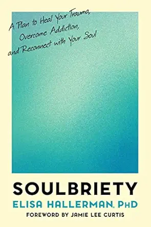 soulbriety a plan to heal your trauma overcome addiction and reconnect with your soul 1st edition elisa
