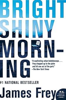 bright shiny morning 1st edition james frey 0061573175, 978-0061573170