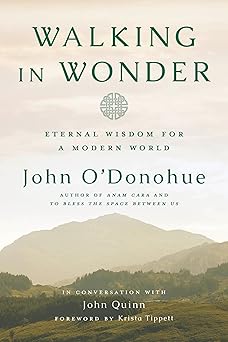 walking in wonder eternal wisdom for a modern world 1st edition john o\\\\\\\'donohue ,john quinn ,krista