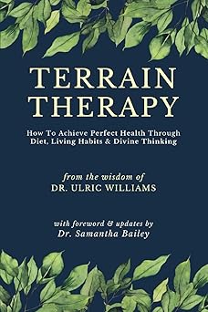 terrain therapy how to achieve perfect health through diet living habits and divine thinking 1st edition dr