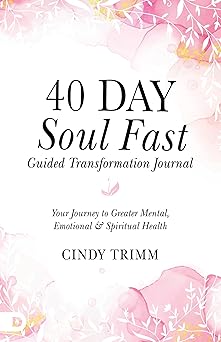 40 day soul fast guided transformation journal your journey to greater mental emotional and spiritual health