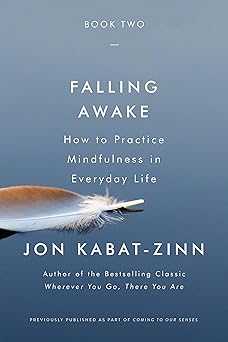 falling awake 1st edition jon kabat zinn 0316411752, 978-0316411752