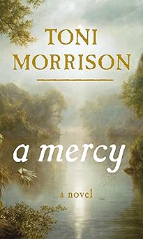 a mercy 1st edition toni morrison 0307264238, 978-0307264237