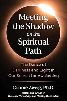 meeting the shadow on the spiritual path the dance of darkness and light in our search for awakening 1st