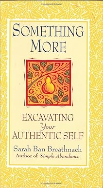 something more excavating your authentic self 1st edition sarah ban breathnach 0446524131, 978-0446524131