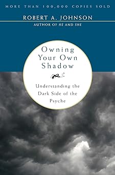 owning your own shadow understanding the dark side of the psyche 1st edition robert a johnson 0062507540,