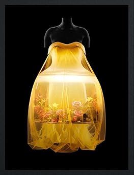 sleeping beauties reawakening fashion 1st edition andrew bolton ,nick knight ,anna marie kellen ,margherita