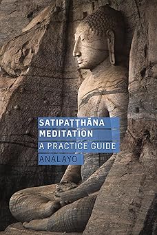 satipatthana meditation a practice guide 1st edition analayo 1911407104, 978-1911407102