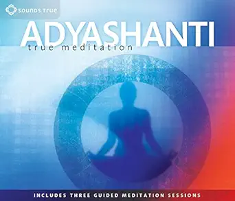 true meditation allowing everything to be as it is 1st edition adyashanti 1591794617, 978-1591794615