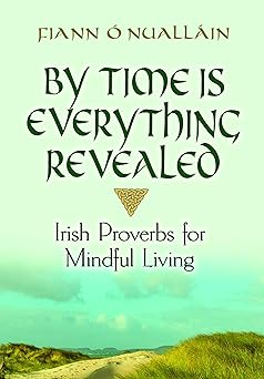 by time is everything revealed irish proverbs for mindful living 1st edition fiann o\\\\\\\'nuallain