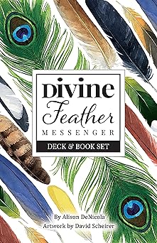 divine feather messenger 1st edition alison denicola 1572819626, 978-1572819627
